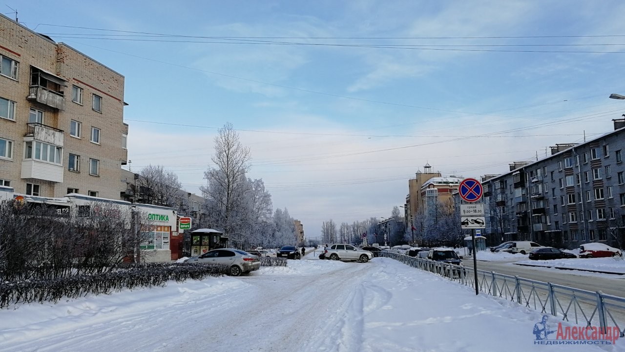 г. Санкт-Петербург, г. Пушкин, ул. Генерала Хазова, д. 20-придомовая территория