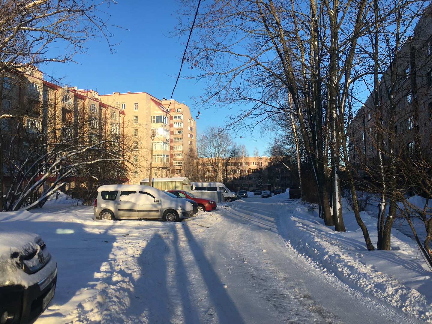 г. Санкт-Петербург, г. Пушкин, б-р. Детскосельский, д. 3-придомовая территория