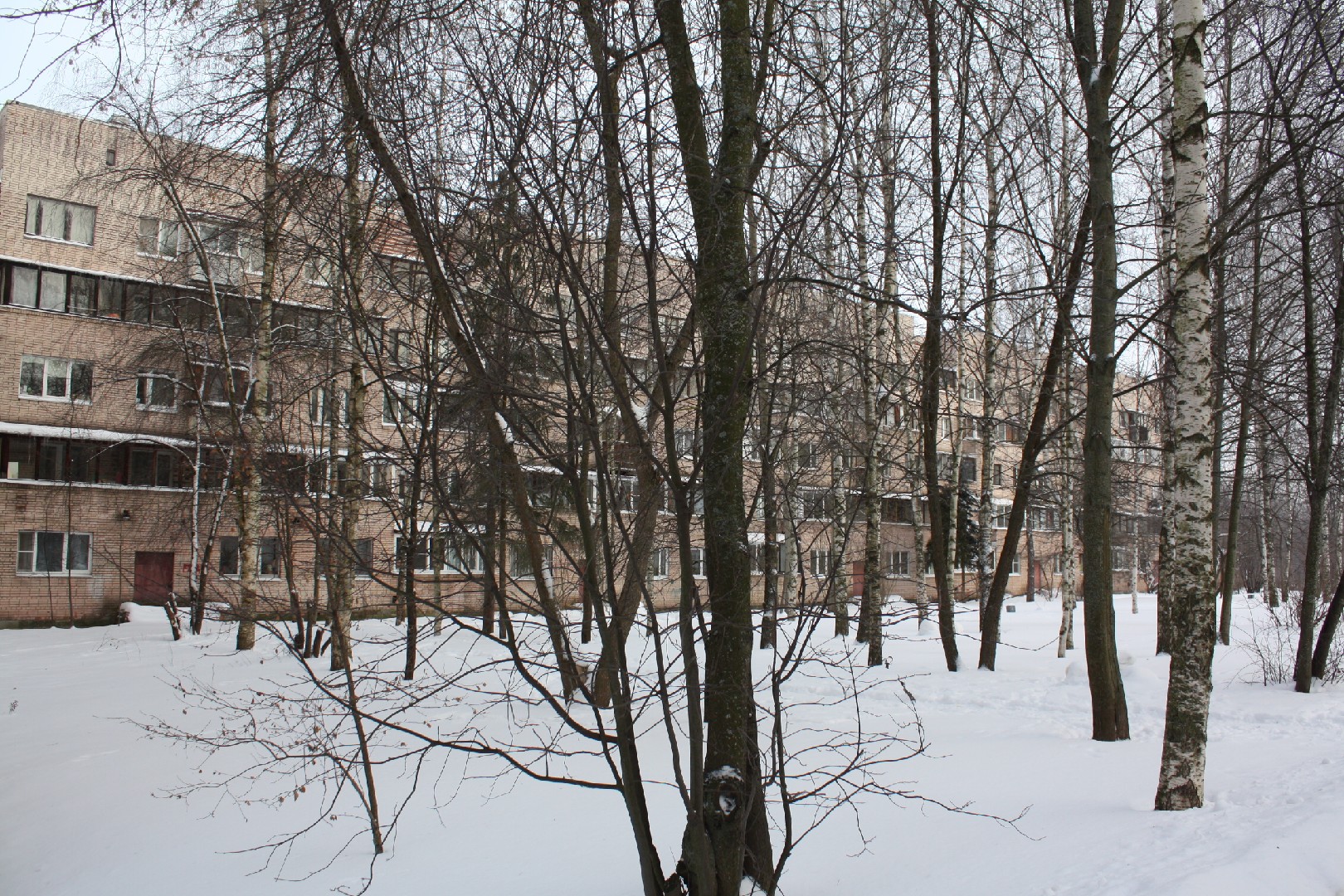 г. Санкт-Петербург, г. Пушкин, б-р. Детскосельский, д. 3-придомовая территория