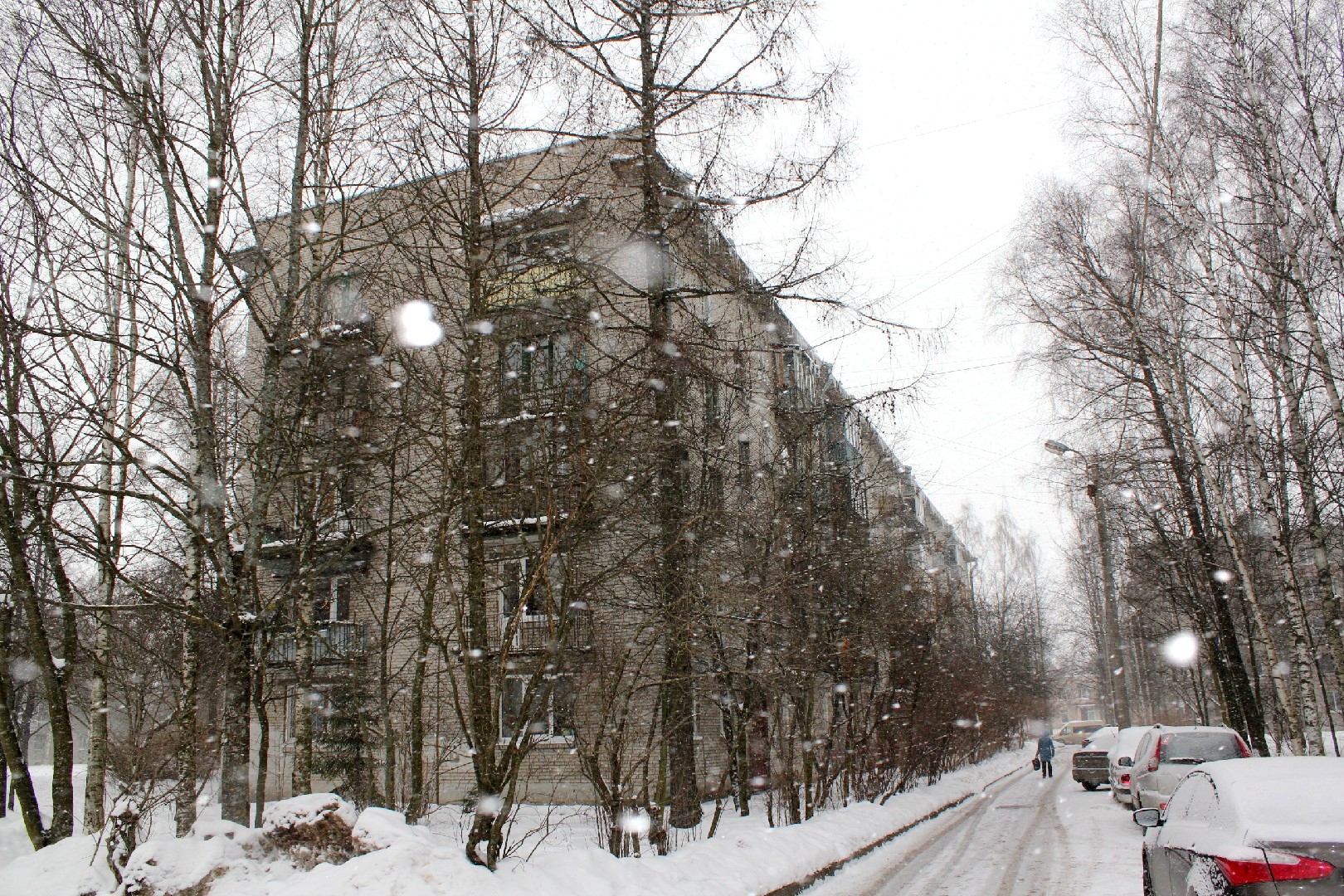 г. Санкт-Петербург, г. Пушкин, ул. Железнодорожная, д. 64-придомовая территория