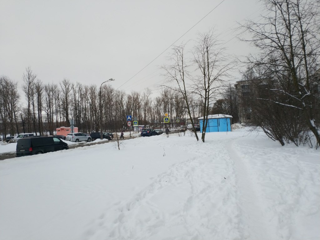 г. Санкт-Петербург, г. Пушкин, ул. Железнодорожная, д. 80-придомовая территория