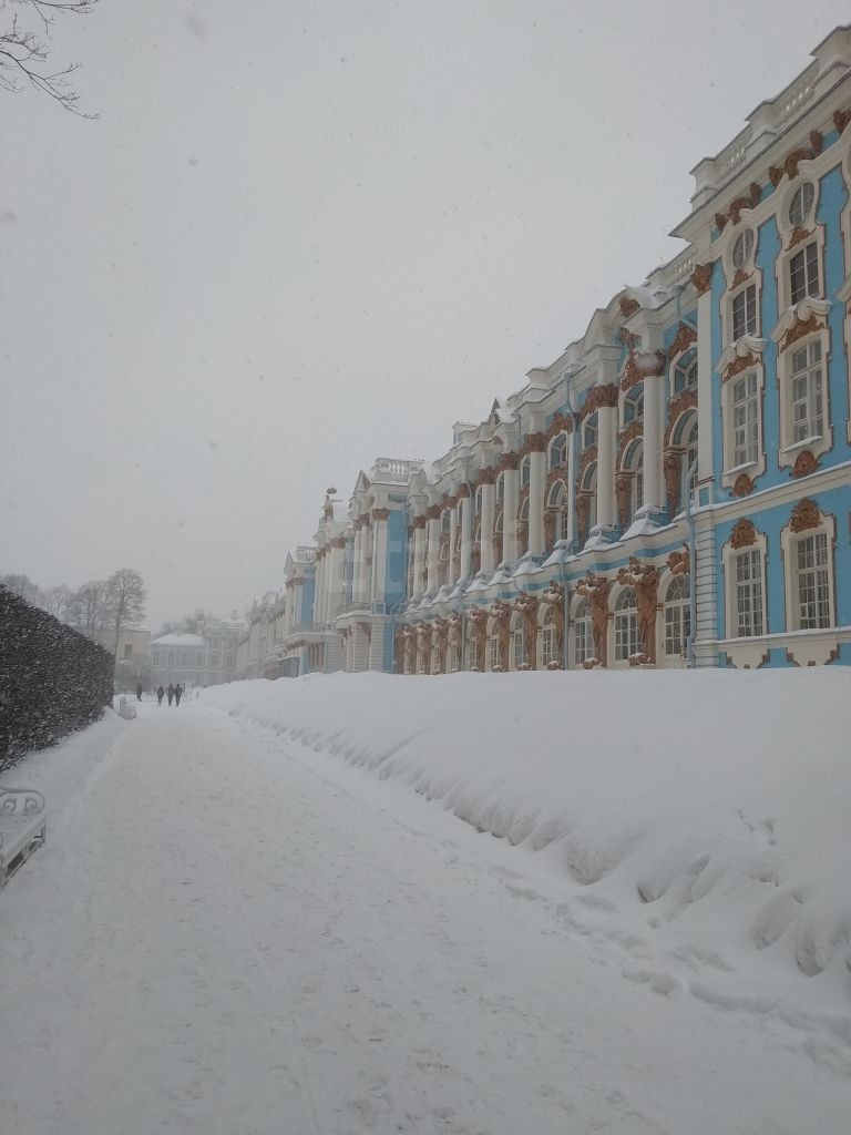 г. Санкт-Петербург, г. Пушкин, ул. Малиновская, д. 8-фасад здания