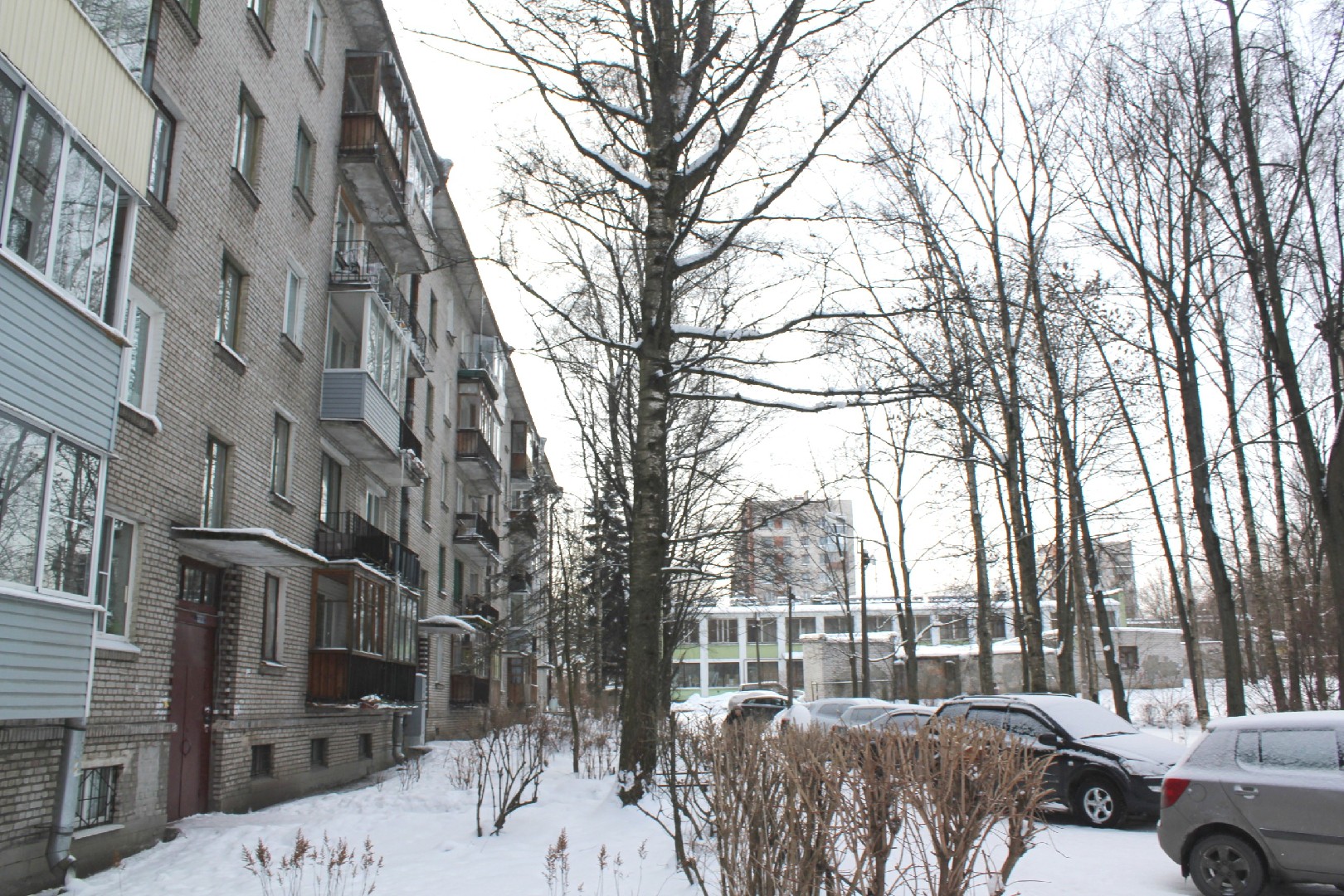 г. Санкт-Петербург, г. Пушкин, ул. Оранжерейная, д. 62-придомовая территория