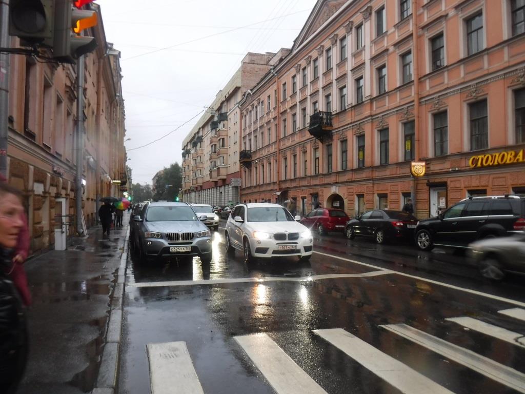 г. Санкт-Петербург, пр-кт. Римского-Корсакова, д. 8/18-придомовая территория