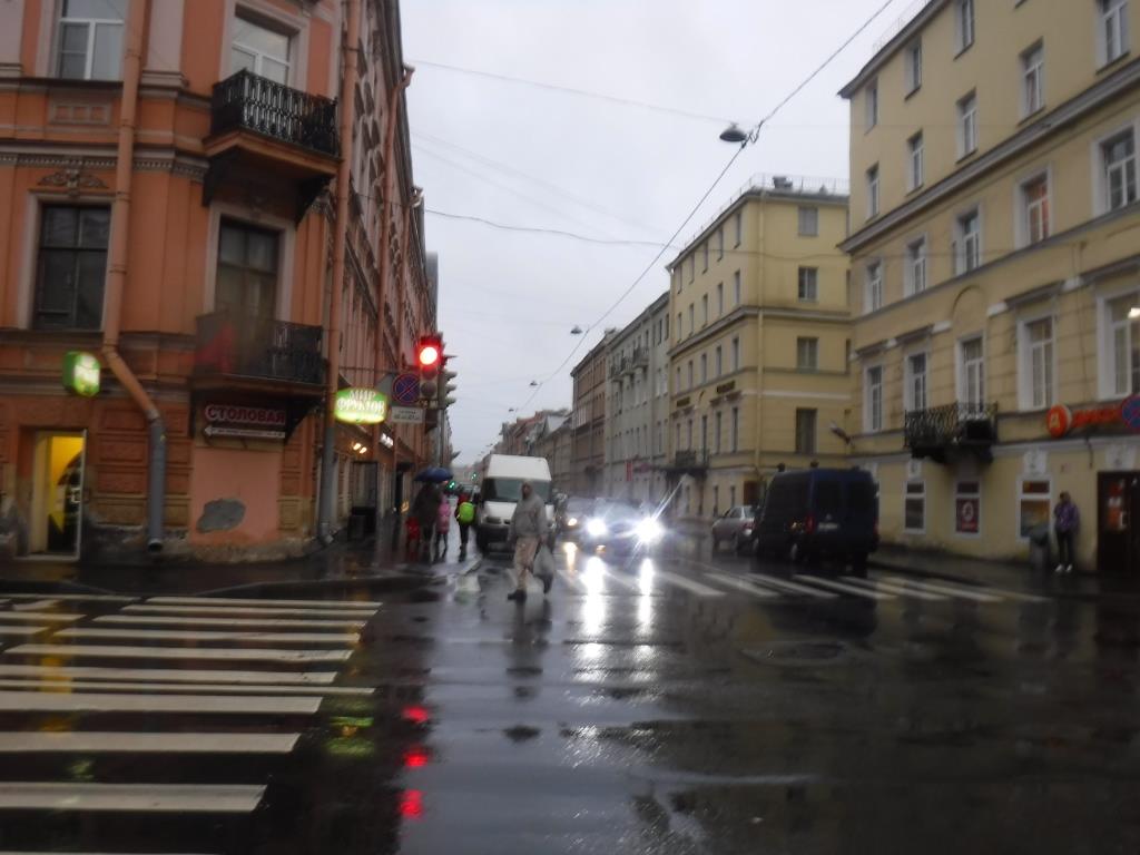 г. Санкт-Петербург, пр-кт. Римского-Корсакова, д. 8/18-придомовая территория