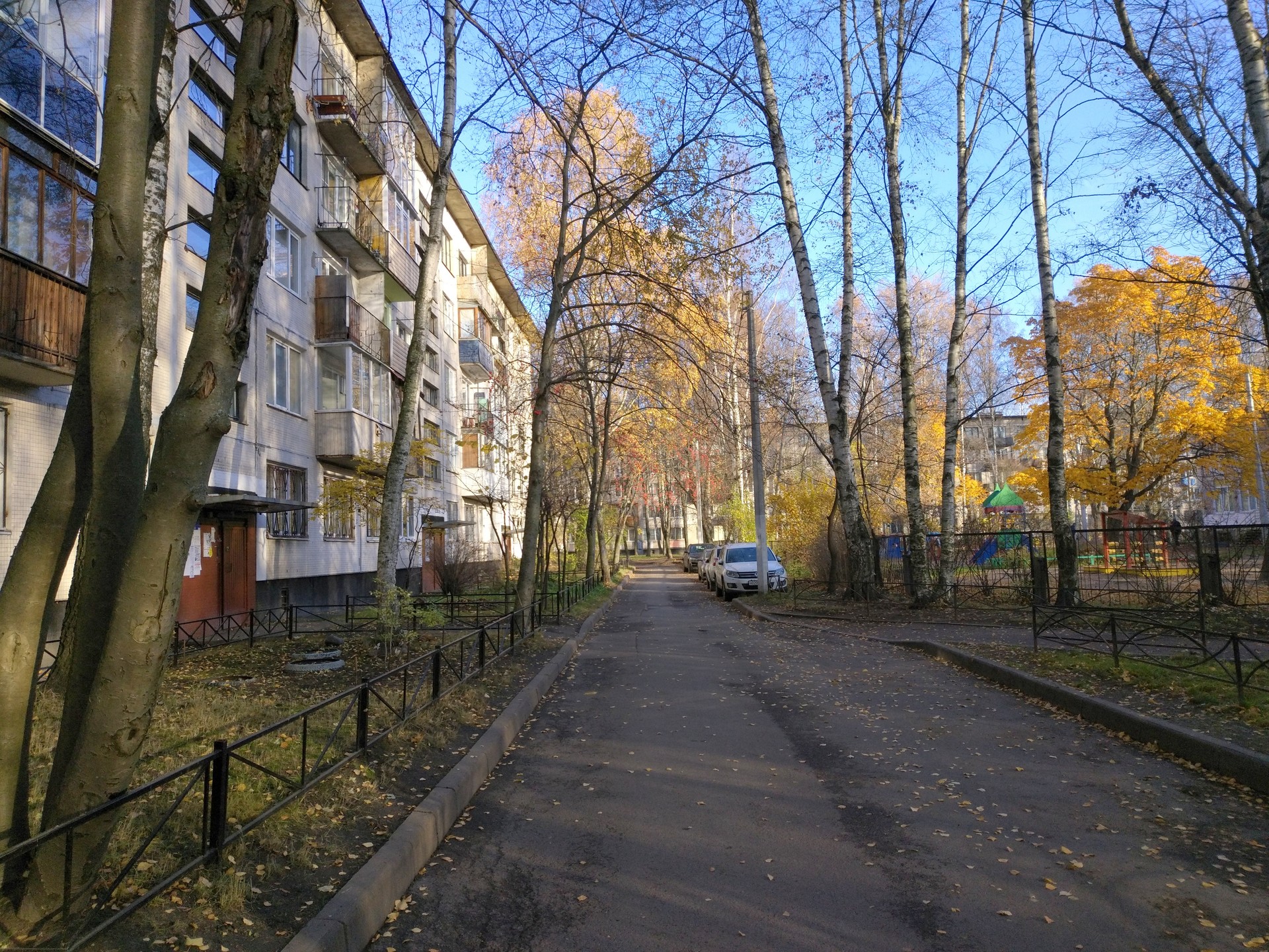 г. Санкт-Петербург, пр-кт. Светлановский, д. 99, к. 2, лит. А-придомовая территория