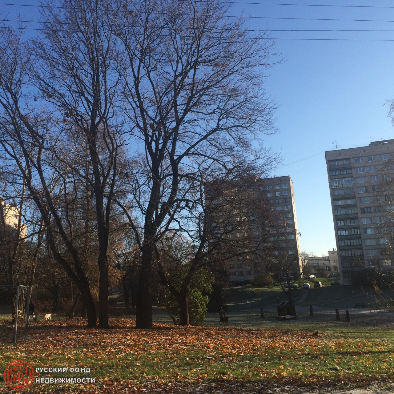 г. Санкт-Петербург, г. Сестрорецк, ул. Воскова, д. 11-придомовая территория