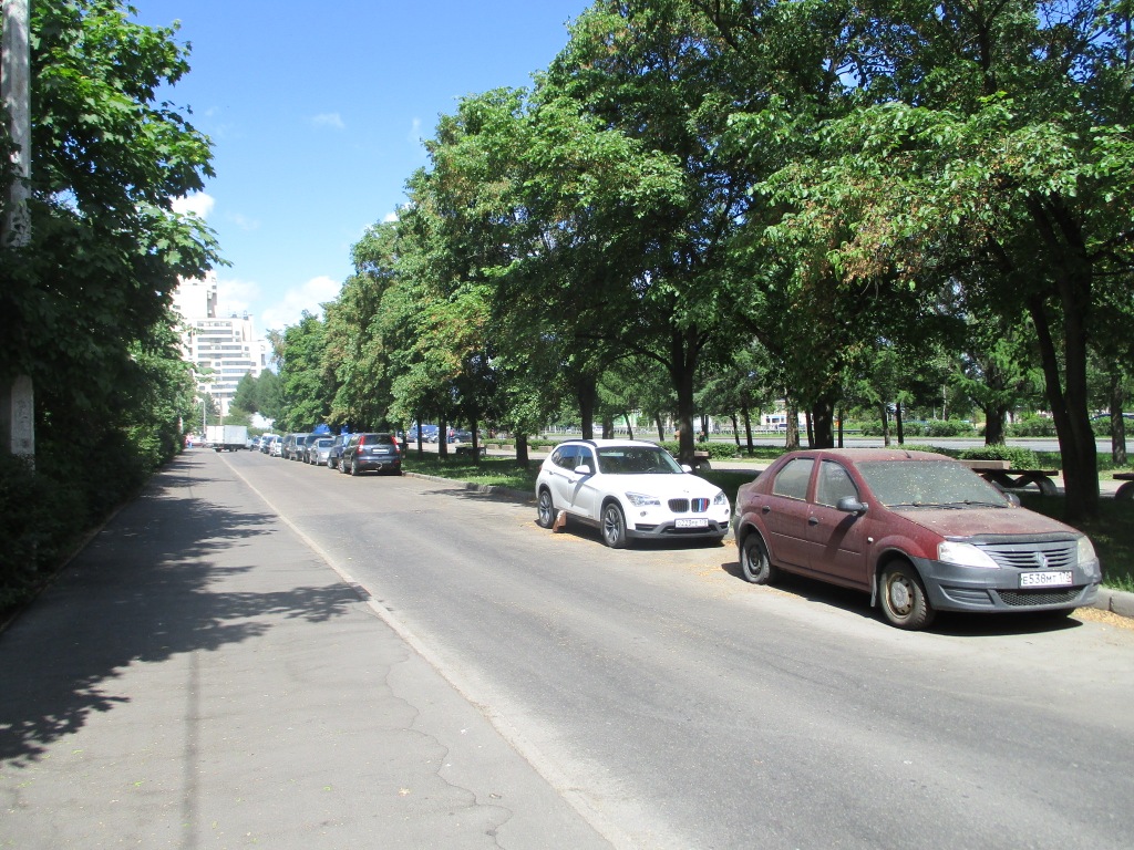 г. Санкт-Петербург, г. Сестрорецк, ш. Приморское, д. 346-придомовая территория