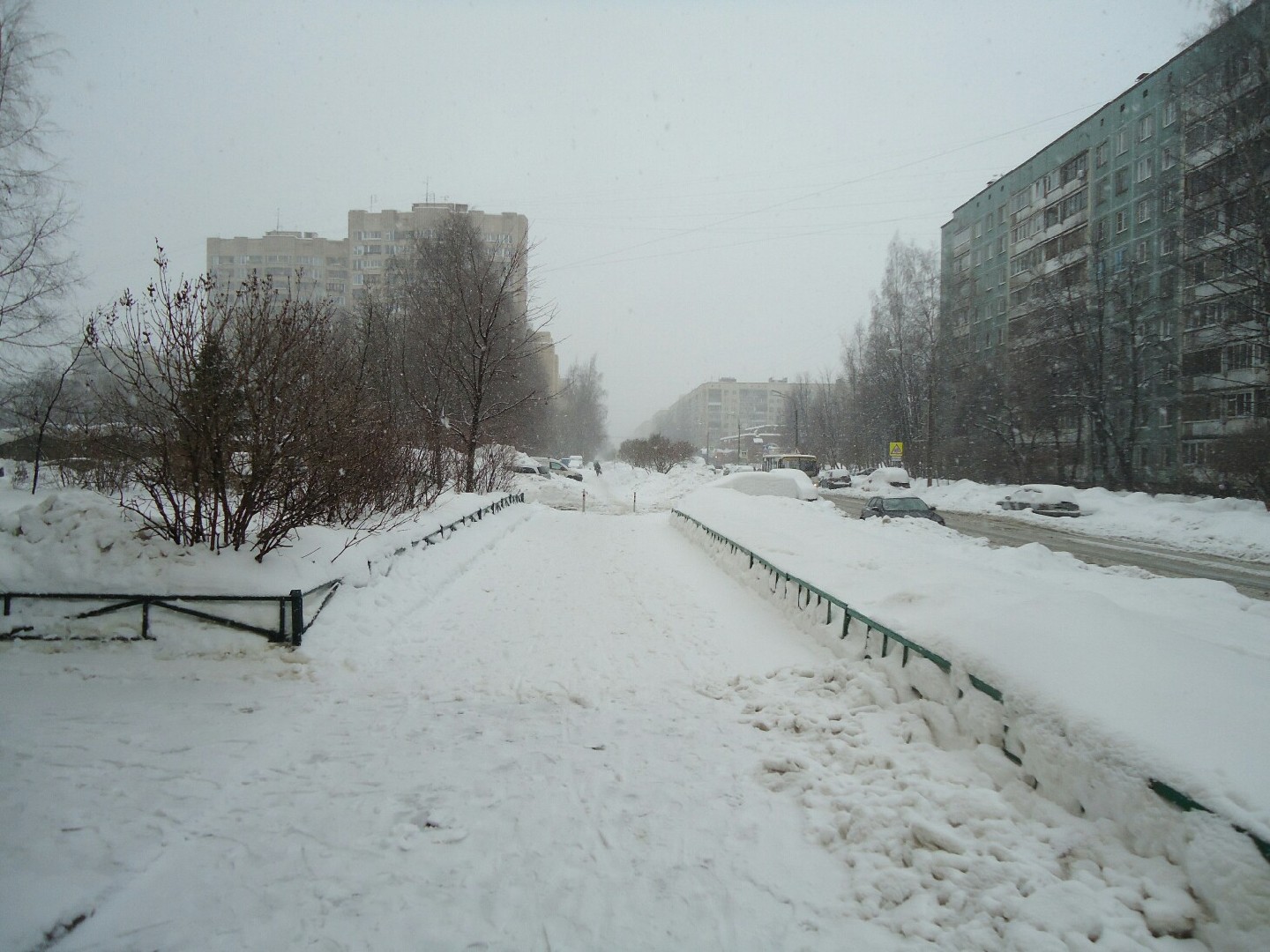 г. Санкт-Петербург, б-р. Сиреневый, д. 23, к. 1-придомовая территория