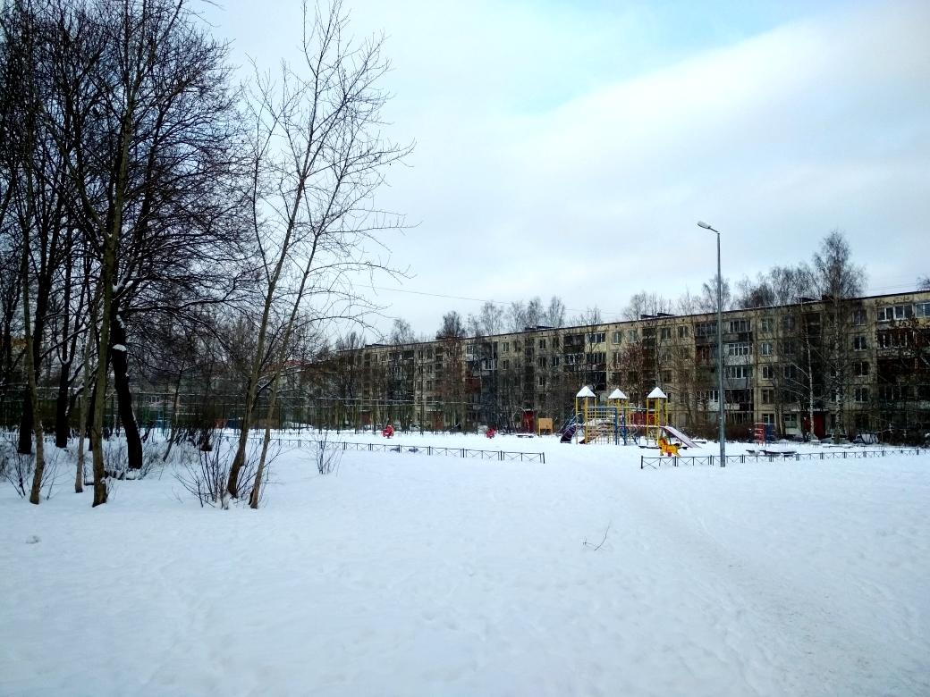 г. Санкт-Петербург, ул. Солдата Корзуна, д. 60-придомовая территория