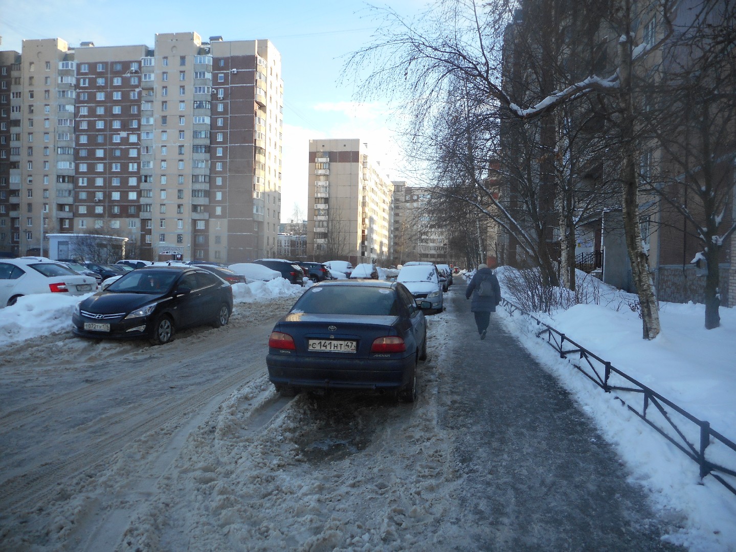 г. Санкт-Петербург, ул. Стародеревенская, д. 23, к. 2-придомовая территория