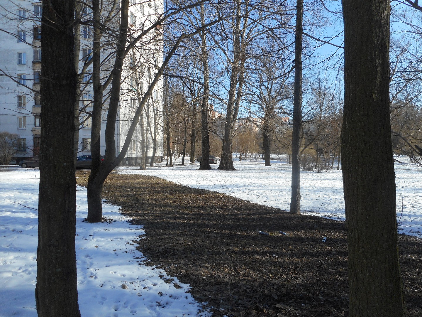 г. Санкт-Петербург, пр-кт. Стачек, д. 198, лит. А-придомовая территория