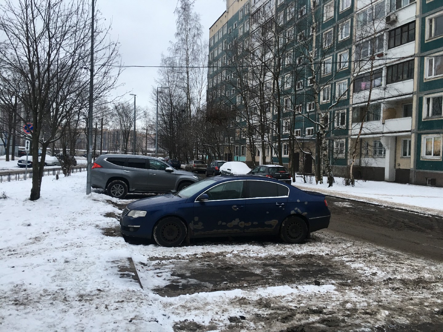 г. Санкт-Петербург, пр-кт. Суздальский, д. 5, к. 1, лит. А-придомовая территория