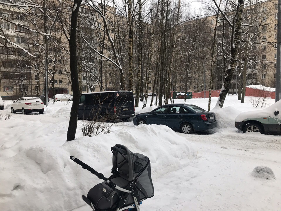 г. Санкт-Петербург, пр-кт. Товарищеский, д. 2, к. 2-придомовая территория