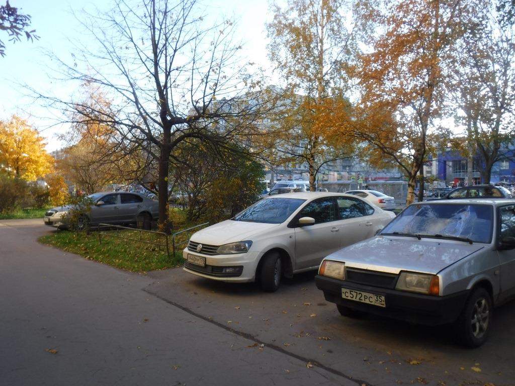 г. Санкт-Петербург, пр-кт. Ударников, д. 30, к. 1, стр. А-придомовая территория