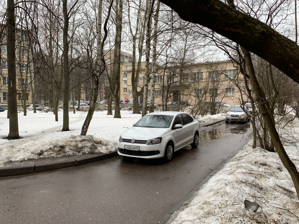 г. Санкт-Петербург, ул. Федосеенко, д. 27, лит. А-придомовая территория