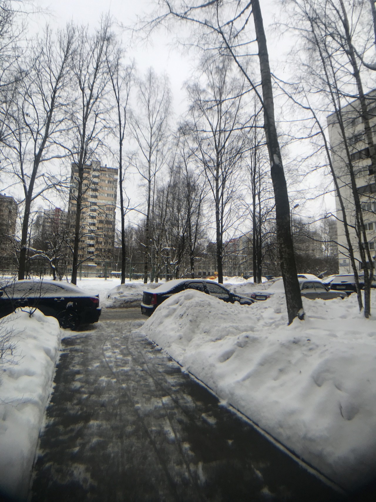 г. Санкт-Петербург, пр-кт. Художников, д. 27, к. 1, лит. А-придомовая территория