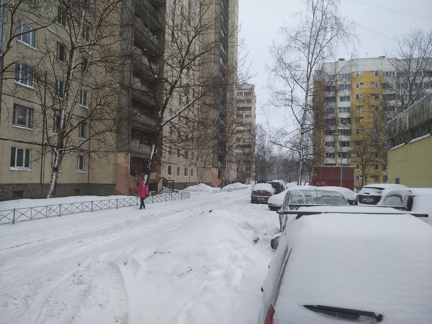 г. Санкт-Петербург, ул. Черкасова, д. 2, лит. А-придомовая территория