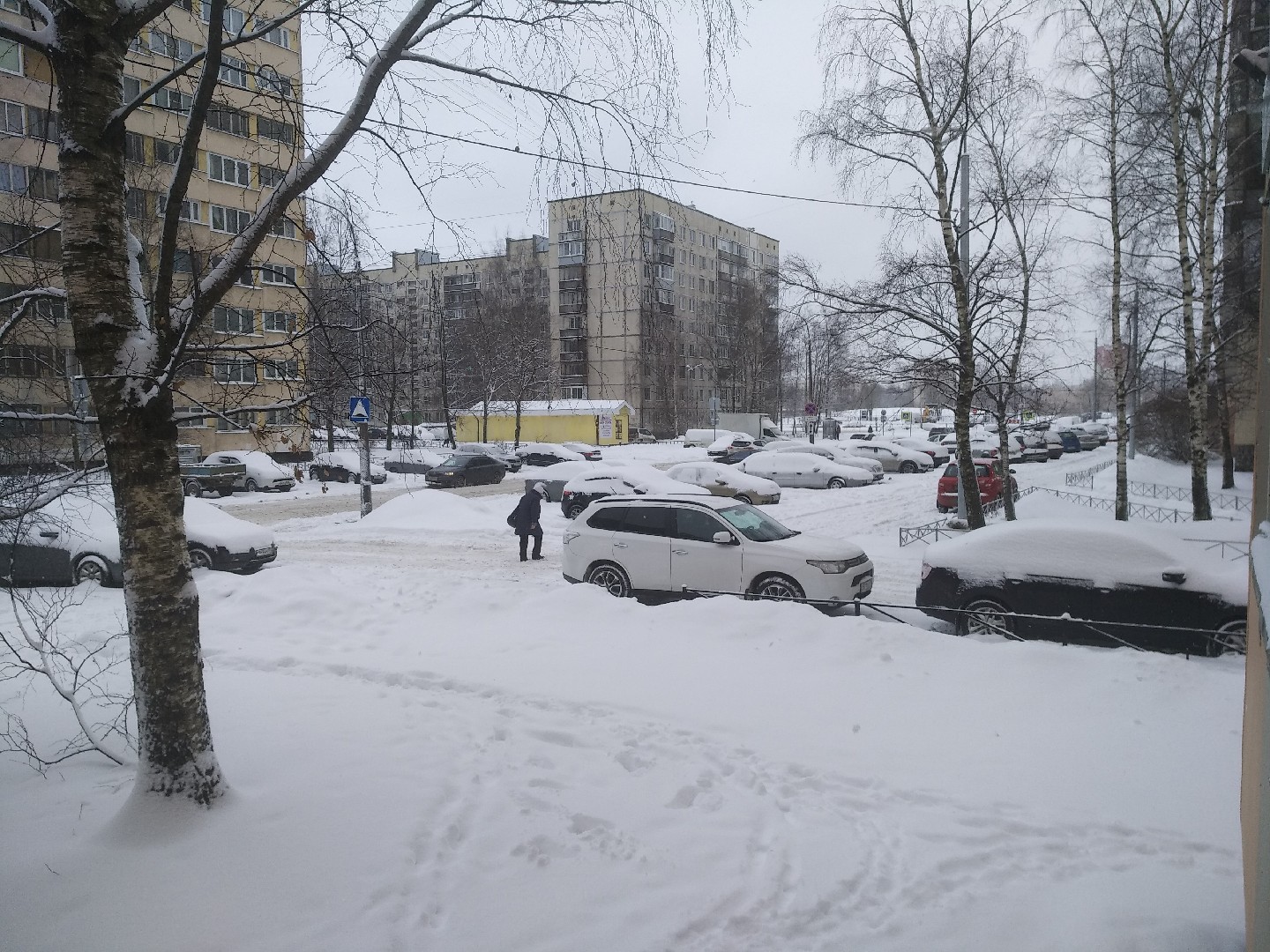 г. Санкт-Петербург, ул. Черкасова, д. 2, лит. А-придомовая территория