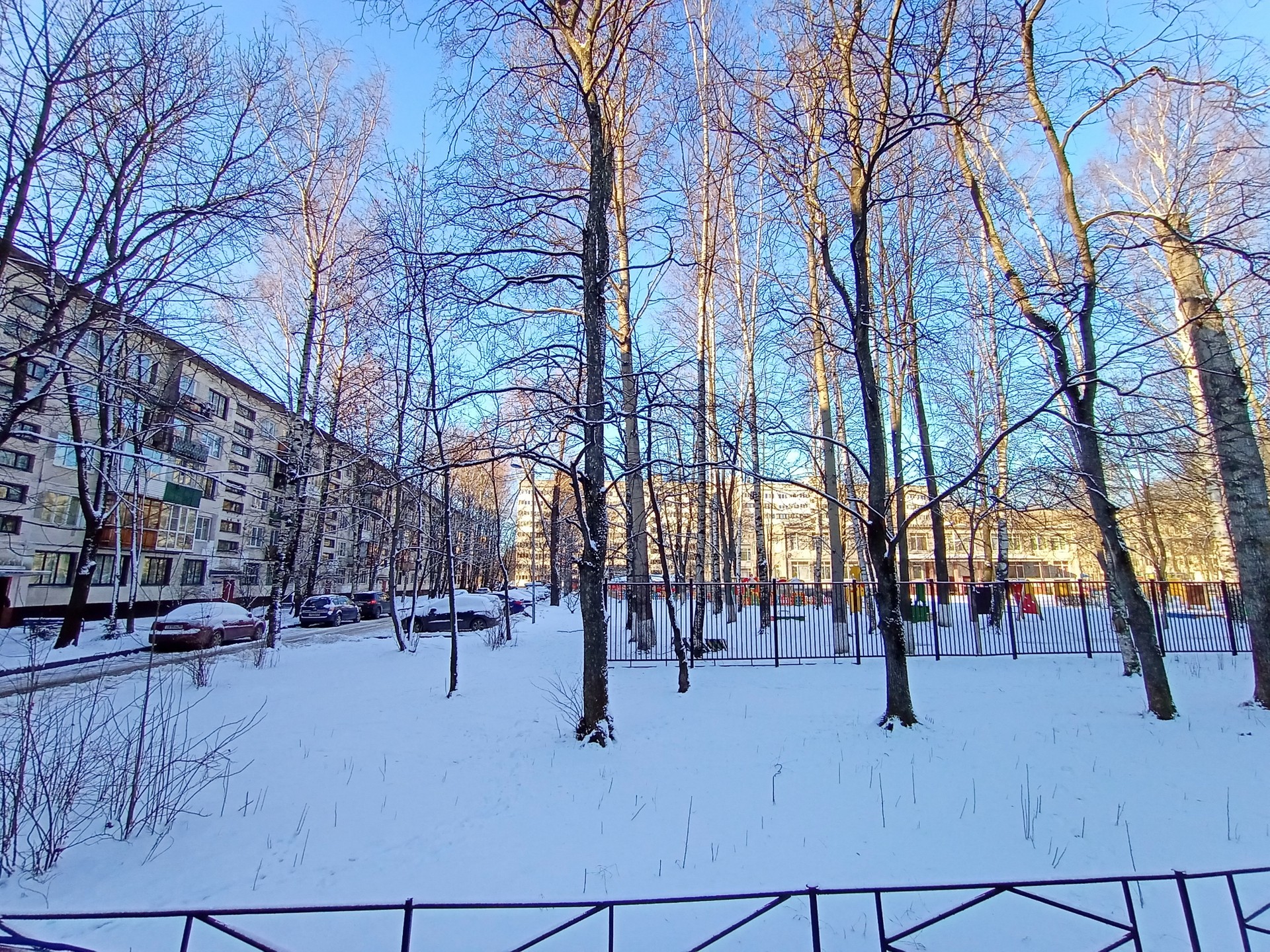 г. Санкт-Петербург, ул. Черкасова, д. 9, лит. А-придомовая территория