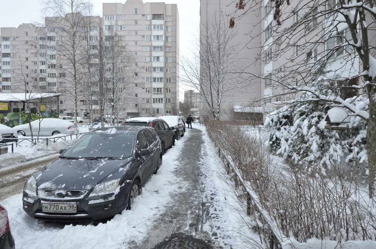 г. Санкт-Петербург, пр-кт. Шуваловский, д. 53, к. 1-придомовая территория