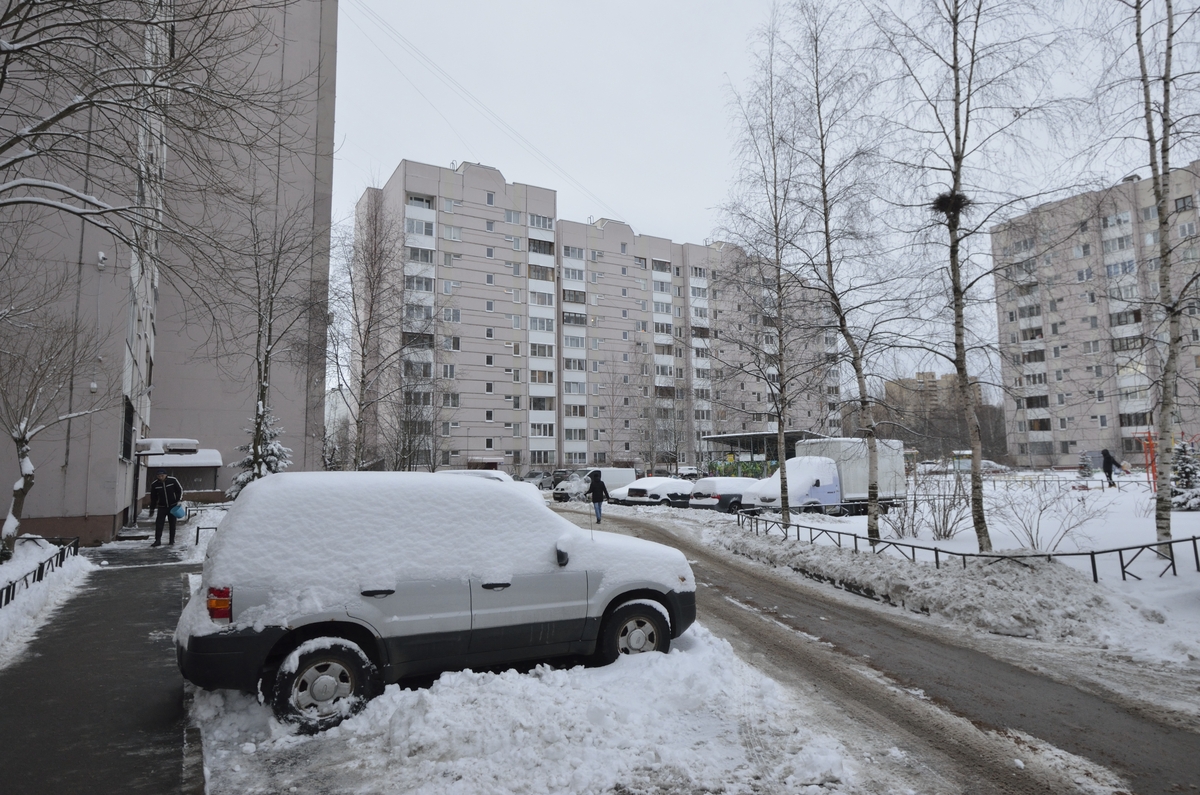 г. Санкт-Петербург, пр-кт. Шуваловский, д. 53, к. 1-придомовая территория