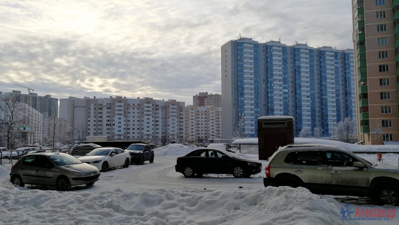 г. Санкт-Петербург, п. Шушары, ул. Первомайская, д. 5, к. 1-придомовая территория