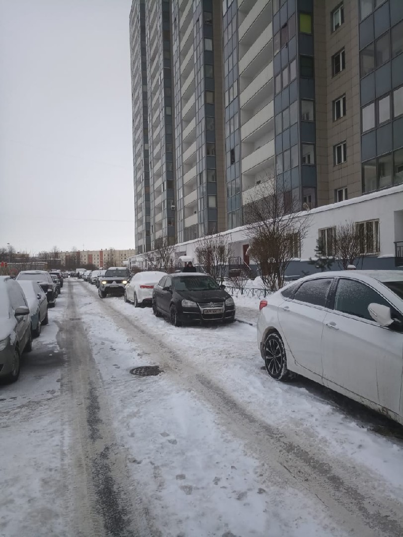 г. Санкт-Петербург, п. Шушары, ул. Первомайская, д. 15-придомовая территория