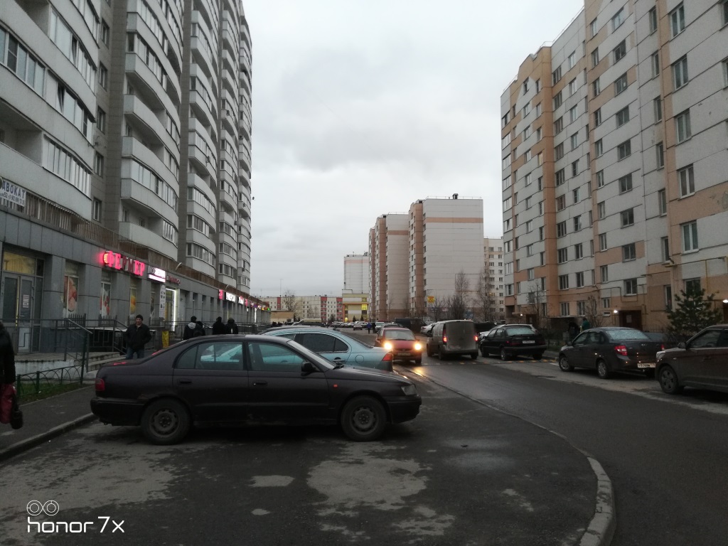 г. Санкт-Петербург, п. Шушары, ул. Первомайская, д. 17-придомовая территория