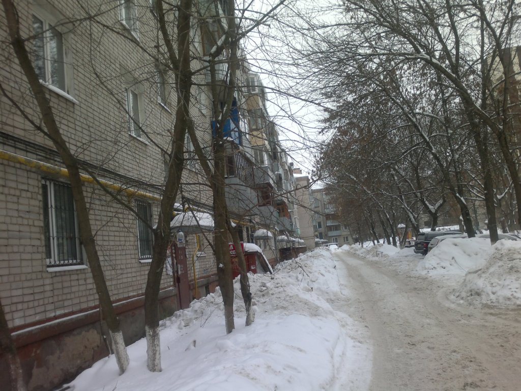 обл. Ивановская, г. Иваново, ул. Парижской Коммуны, д. 24-придомовая территория