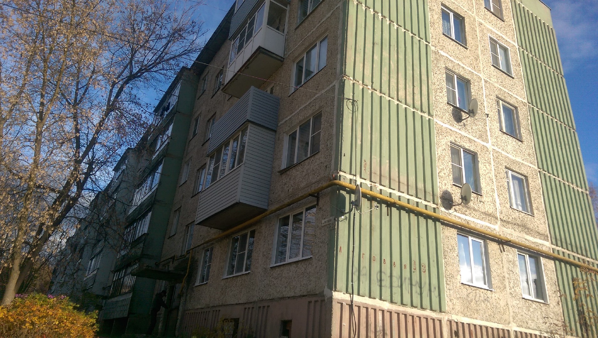 обл. Ивановская, р-н. Лежневский, п. Лежнево, ул. Луговая, д. 13-фасад здания