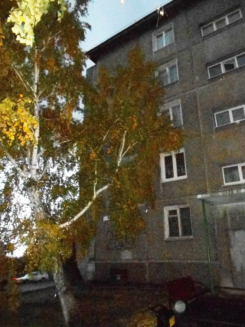 обл. Иркутская, г. Иркутск, ул. Баумана, д. 209-фасад здания