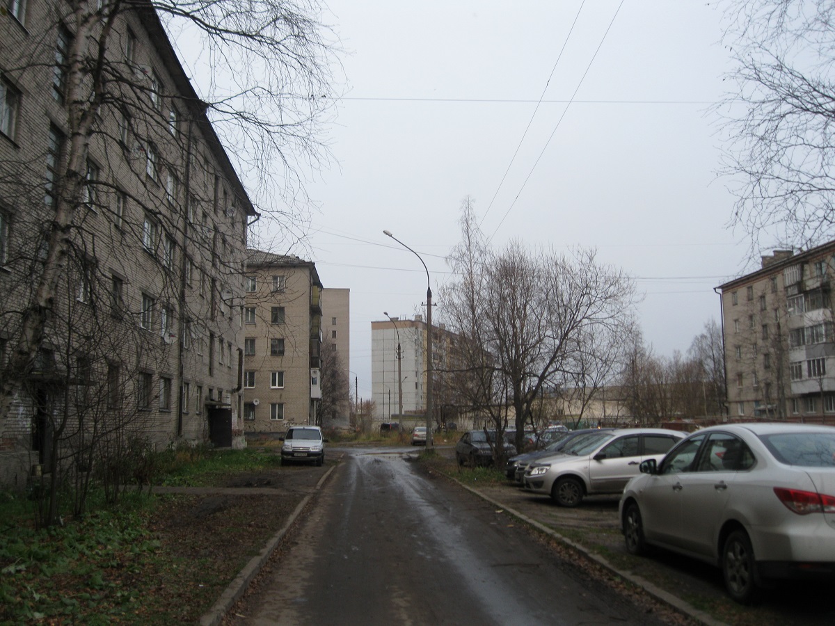 обл. Архангельская, г. Архангельск, пр-кт. Ленинградский, д. 335, к. 1-придомовая территория