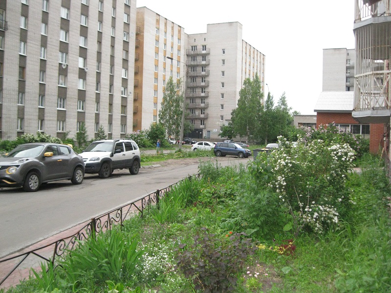 обл. Архангельская, г. Архангельск, ул. Северодвинская, д. 31-придомовая территория