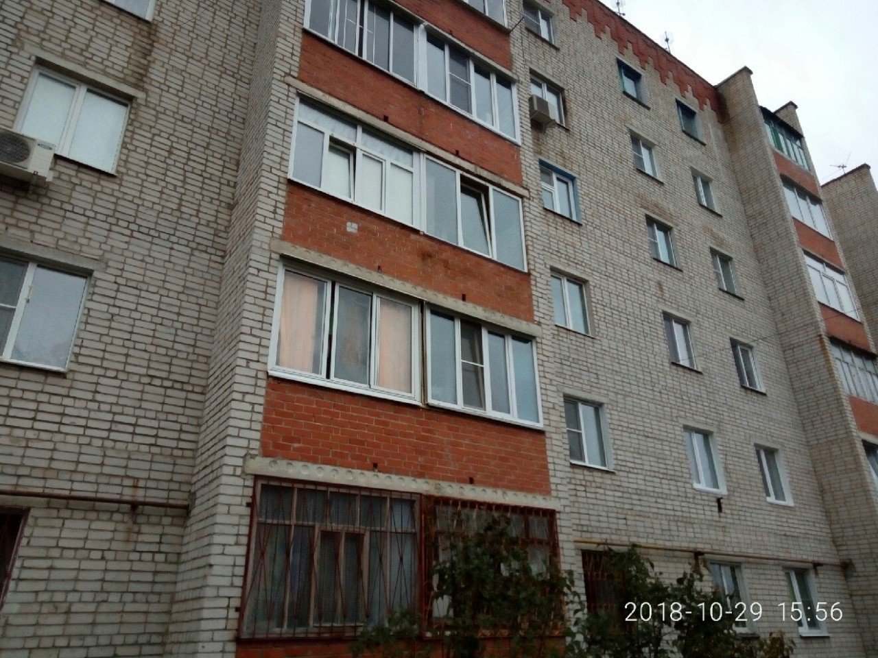обл. Калужская, г. Калуга, ул. Болдина, д. 24, к. 1-фасад здания