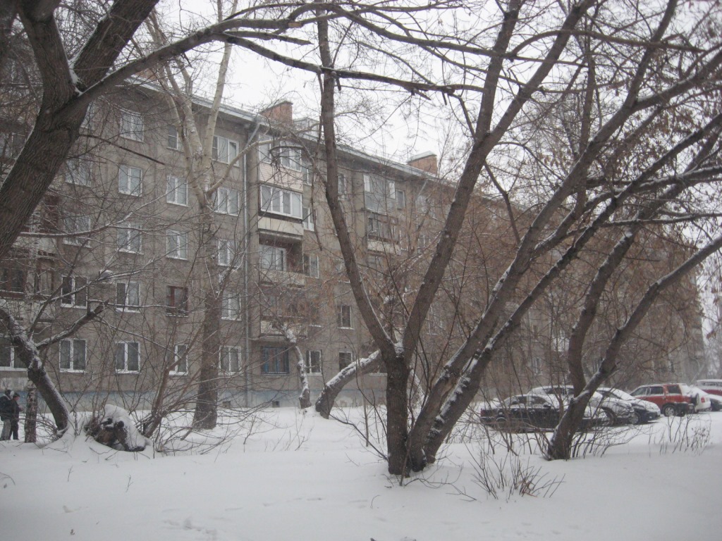 край. Алтайский, г. Барнаул, ул. Песчаная, д. 47-фасад здания