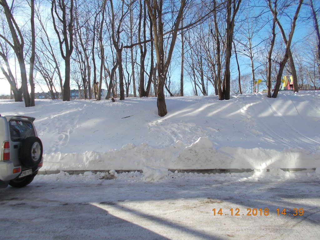 край. Камчатский, г. Петропавловск-Камчатский, пр-кт. Циолковского, д. 33-придомовая территория