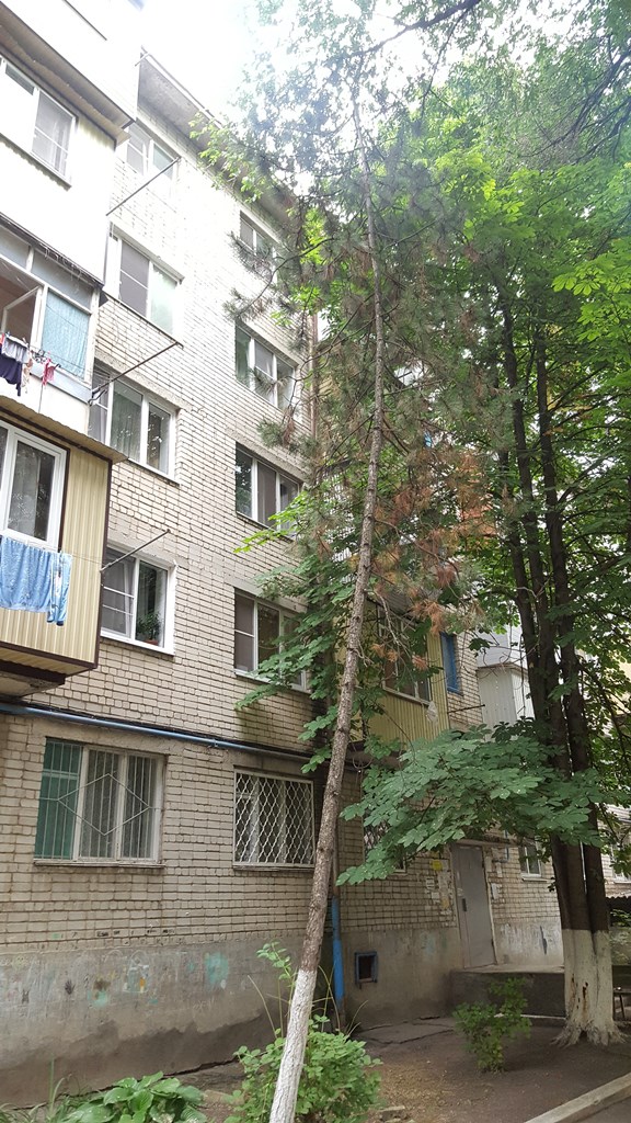Респ. Карачаево-Черкесская, г. Черкесск, ул. Доватора, д. 80-фасад здания