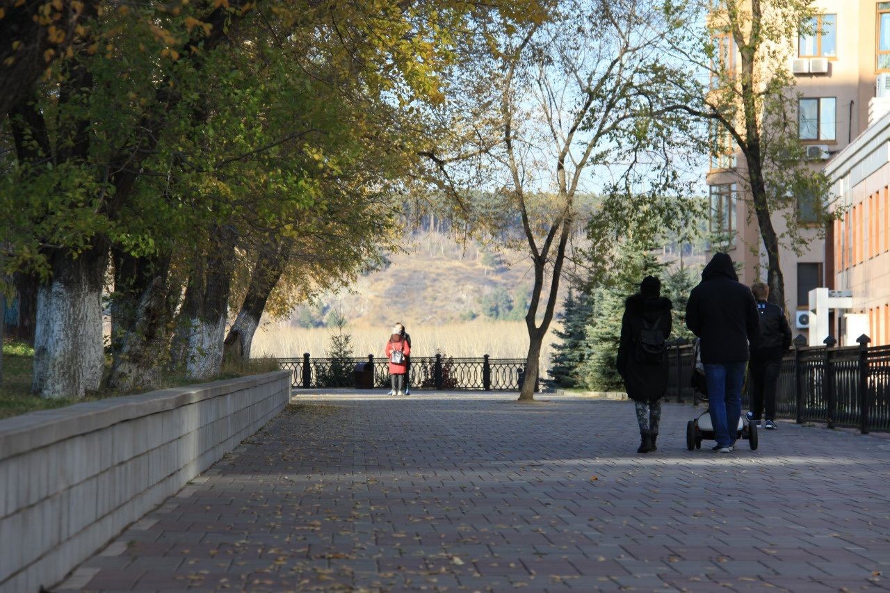 обл. Кемеровская, г. Кемерово, ул. Красная, д. 2-придомовая территория