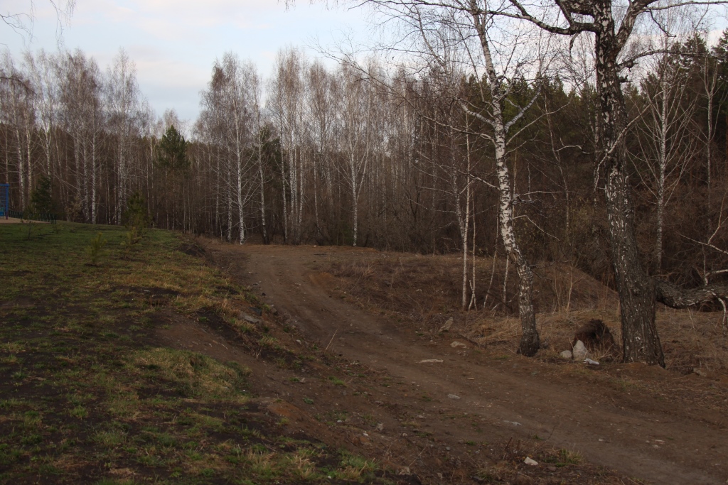 обл. Кемеровская, г. Кемерово, ул. Серебряный бор, д. 16-придомовая территория