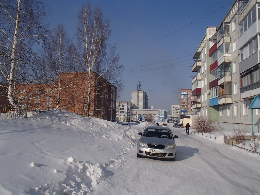 обл. Кемеровская, г. Киселевск, ул. 50 лет города, д. 19-придомовая территория