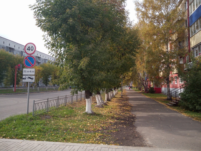 обл. Кемеровская, г. Междуреченск, пр-кт. Строителей, д. 25-придомовая территория