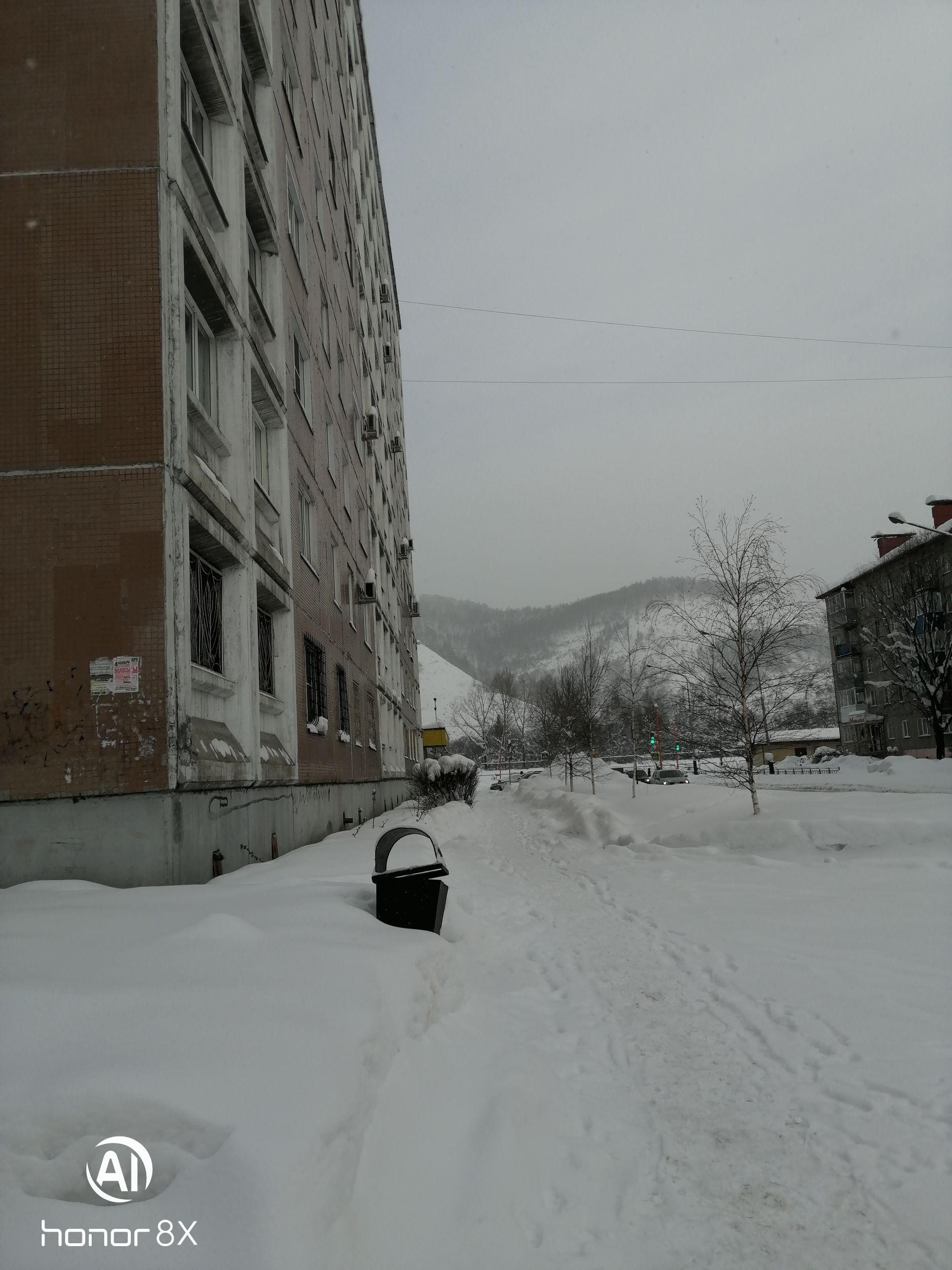 обл. Кемеровская, г. Междуреченск, пр-кт. Шахтеров, д. 29-придомовая территория