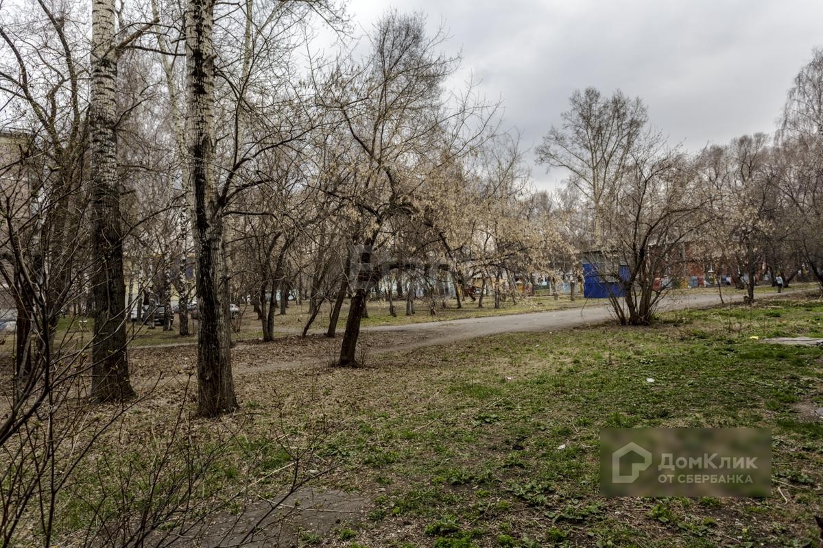 обл. Кемеровская, г. Новокузнецк, пр-кт. Дружбы, д. 31-придомовая территория