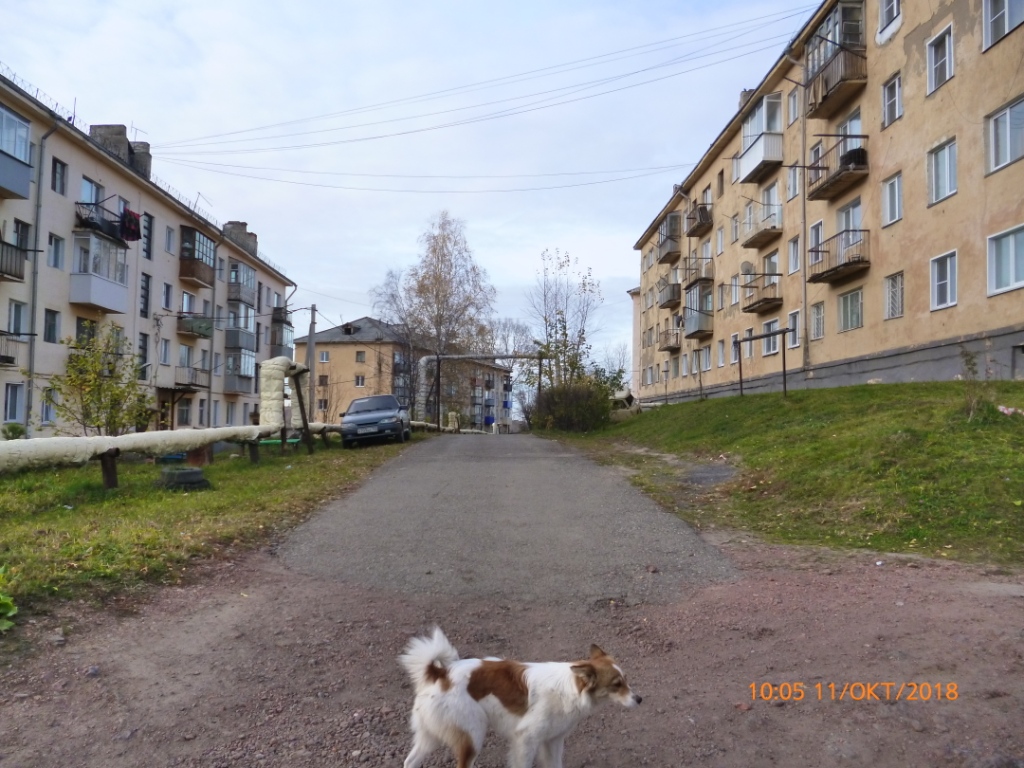 обл. Кемеровская, г. Осинники, п. Тайжина, ул. Дорожная, д. 19-придомовая территория