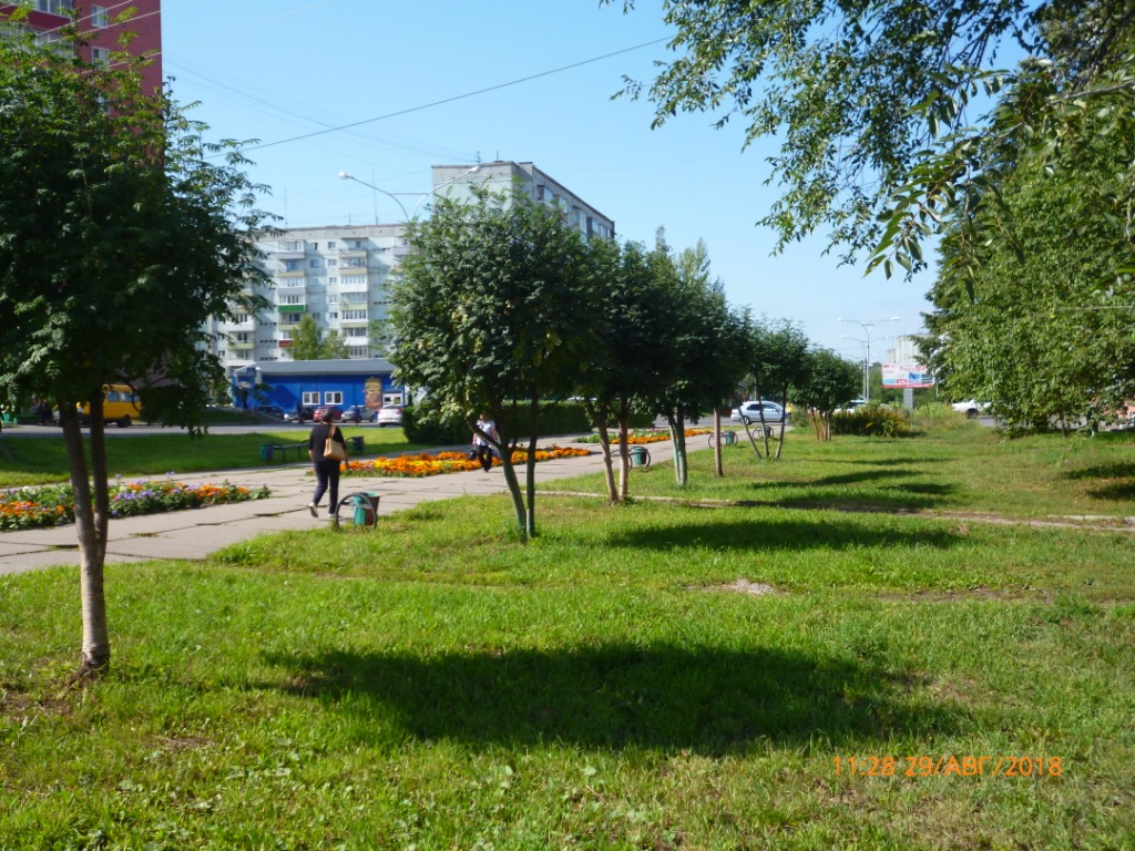 обл. Кемеровская, г. Прокопьевск, ул. Обручева, д. 36-придомовая территория