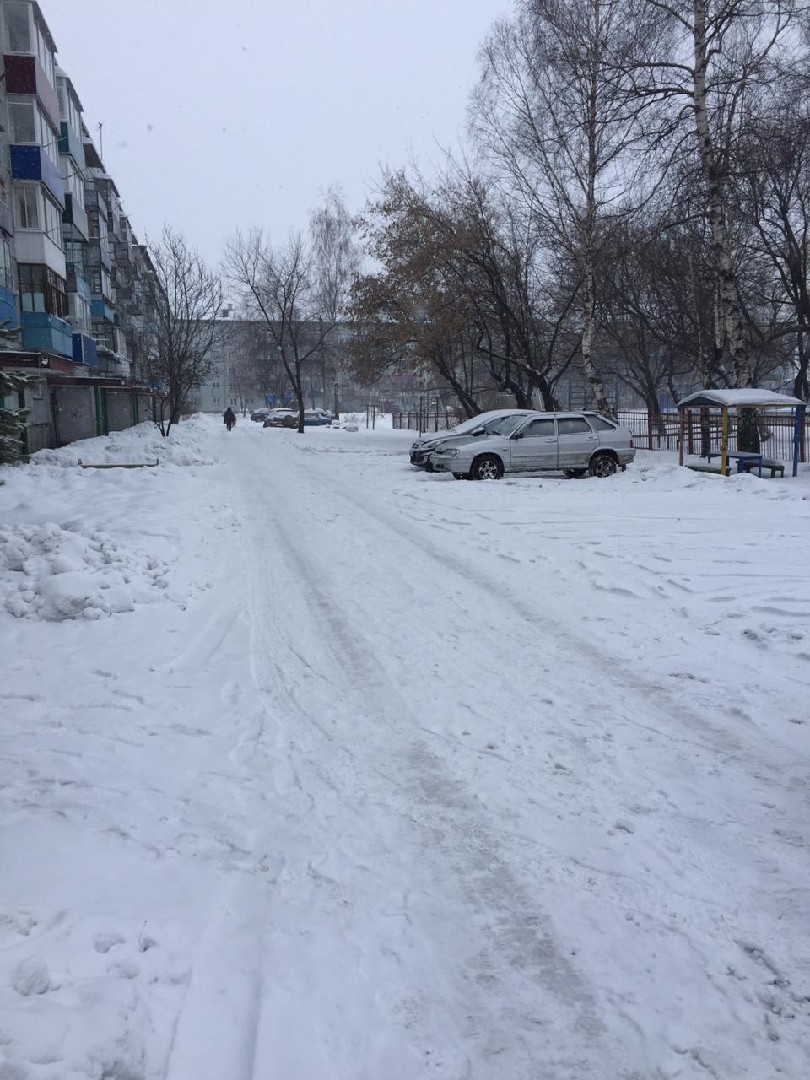 обл. Кемеровская, г. Прокопьевск, ул. Союзная, д. 69-придомовая территория