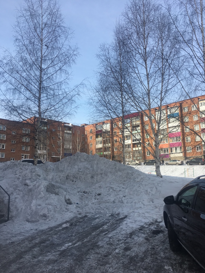 обл. Кемеровская, г. Прокопьевск, пр-кт. Строителей, д. 21-придомовая территория