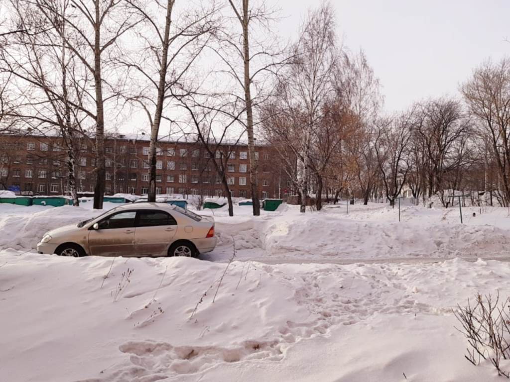 обл. Кемеровская, г. Прокопьевск, ул. Шишкина, д. 17-придомовая территория