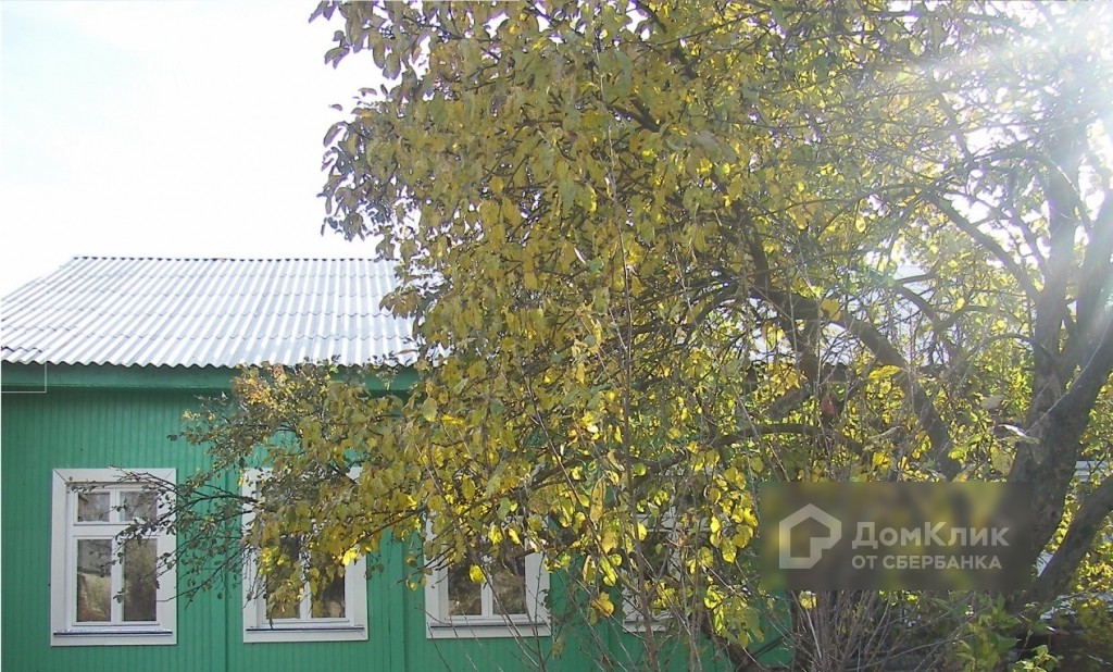 обл. Костромская, р-н. Костромской, г. Кострома, п. Васильевское, д. 21-фасад здания